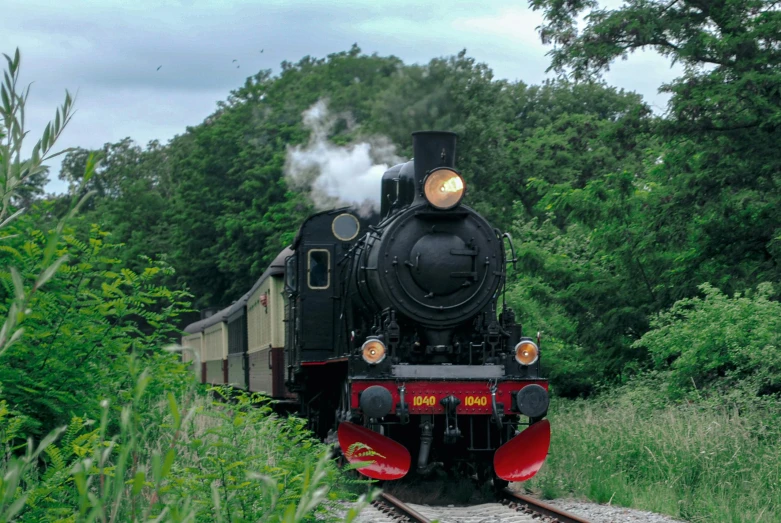 the steam engine train is pulling into a wooded area