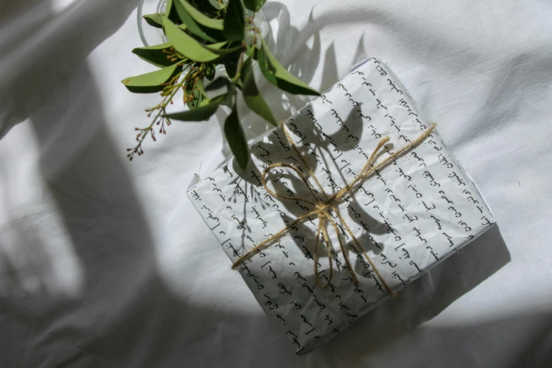 a present wrapped in paper and tied with twine next to green plants