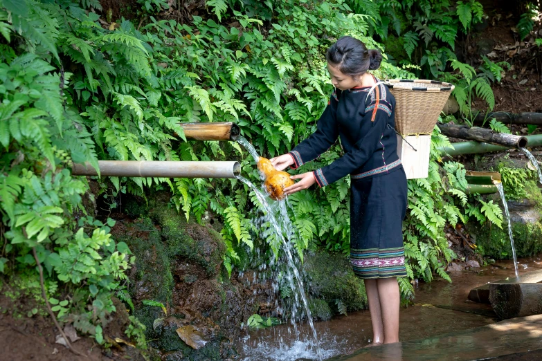 a woman watering her yard with a bucket