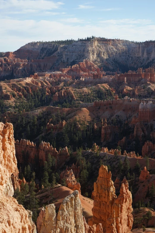 the rock formations and trees are red in color