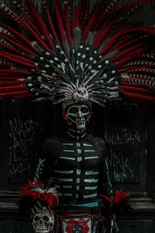 a skeleton in a dress with red feathers