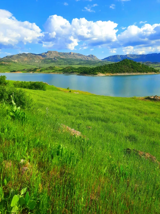 an open field with grass, water and mountains in the background