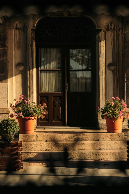 the flowers are in pots by the steps