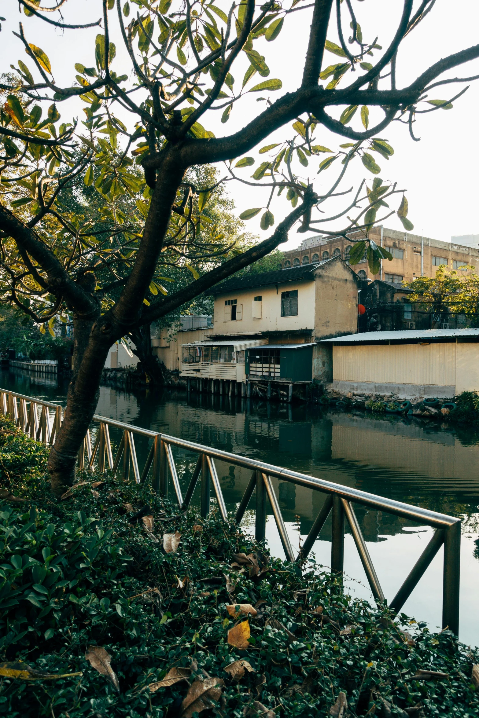 a body of water near trees and buildings