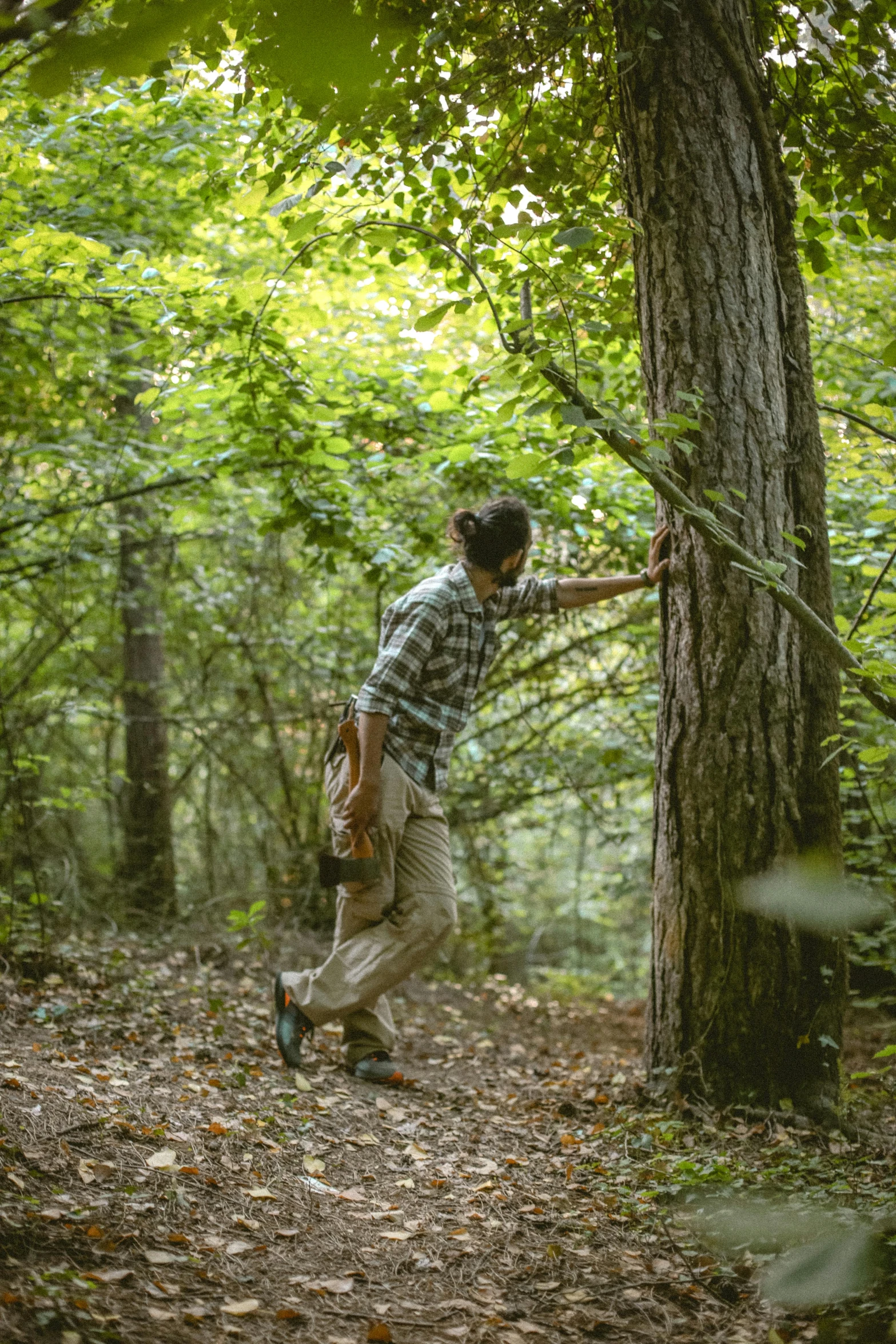 man climbing up a tree in the woods