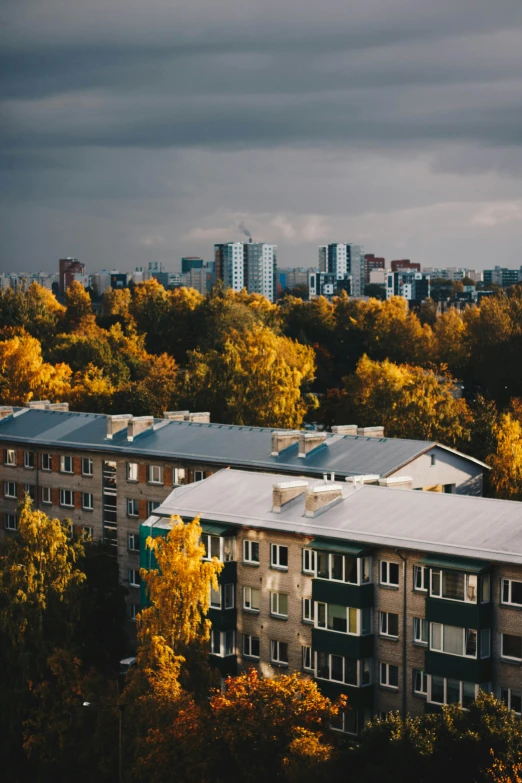 a scenic city skyline, with trees in the foreground