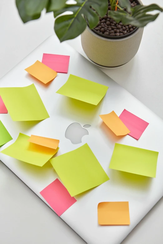 a white laptop covered in sticky notes and a potted plant