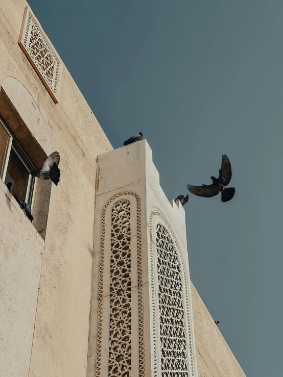 bird flies past the wall near an ornate window