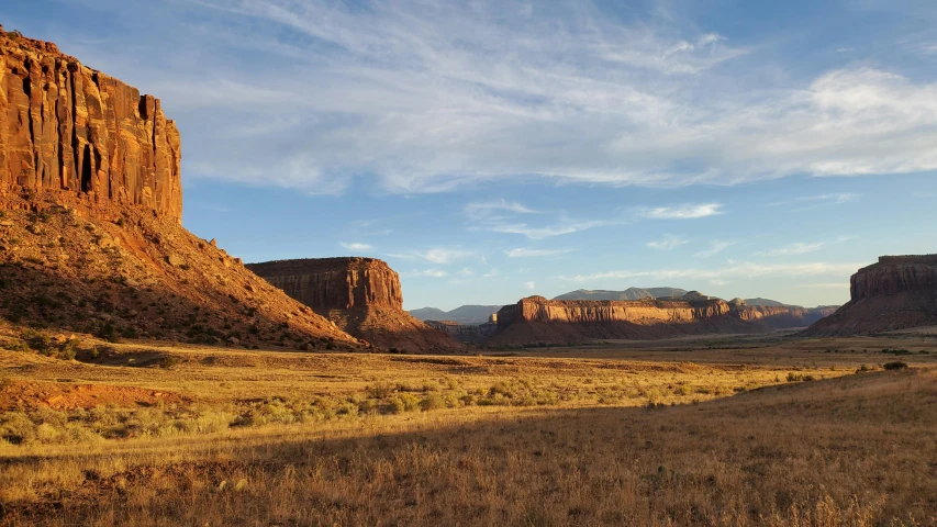 the landscape in the desert is bright and warm