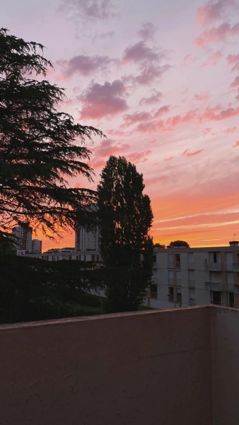 a view of trees, buildings, and sky at sunset
