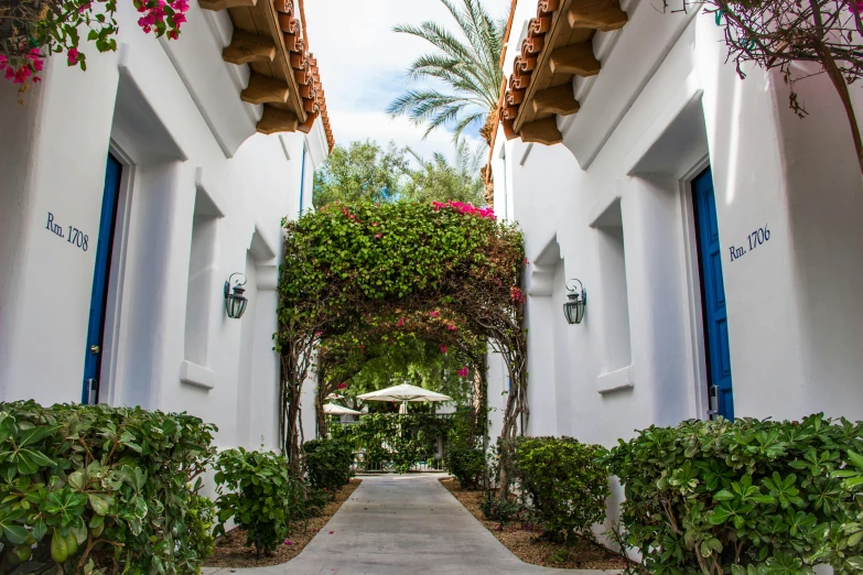 a narrow walkway lined with pots and flowers