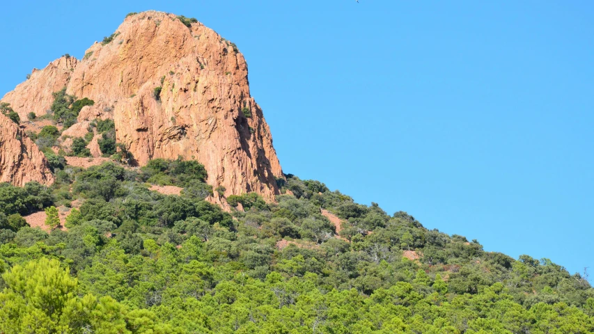 the tall mountain has trees on top of it