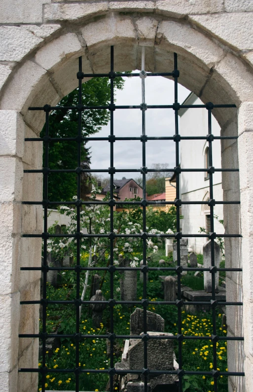the view of an old cemetery through a gate