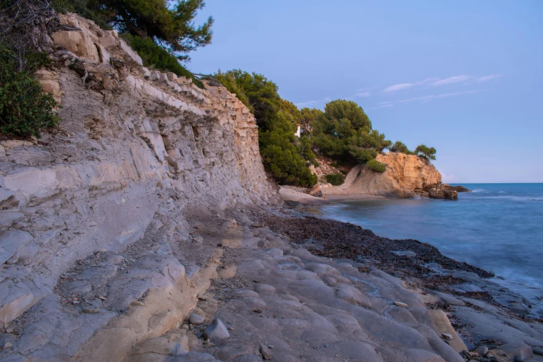 this is a rocky beach with trees and water