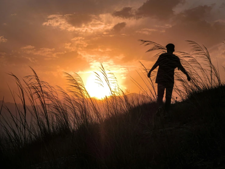 a man standing in the grass as the sun sets