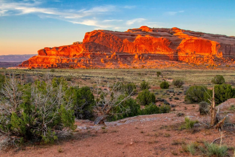 the landscape of the desert is full of mountains and plants