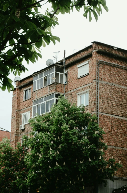 large brick building with several windows and lots of green leaves