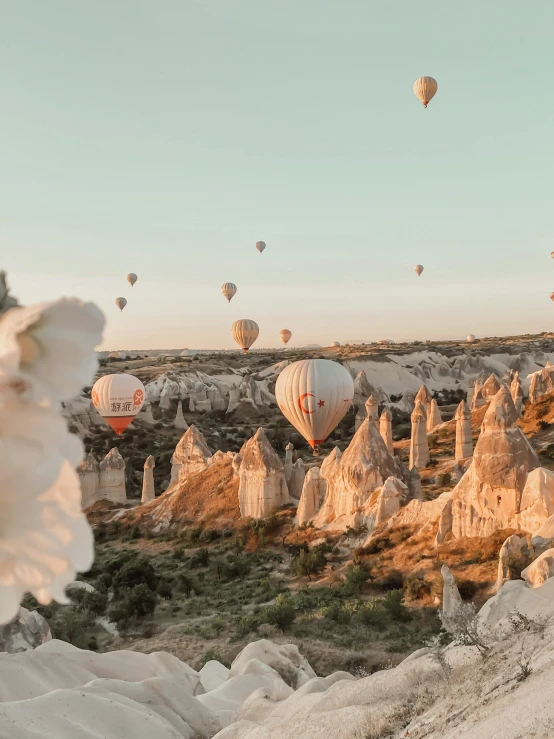 many  air balloons flying over the land in cappads