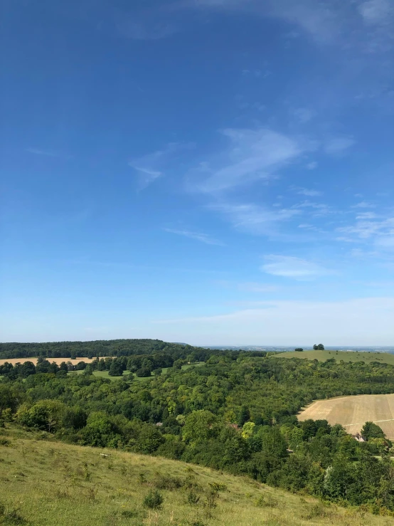 a big grassy field surrounded by trees and blue sky