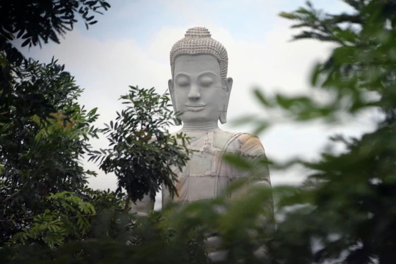 a large buddha statue that is in the distance