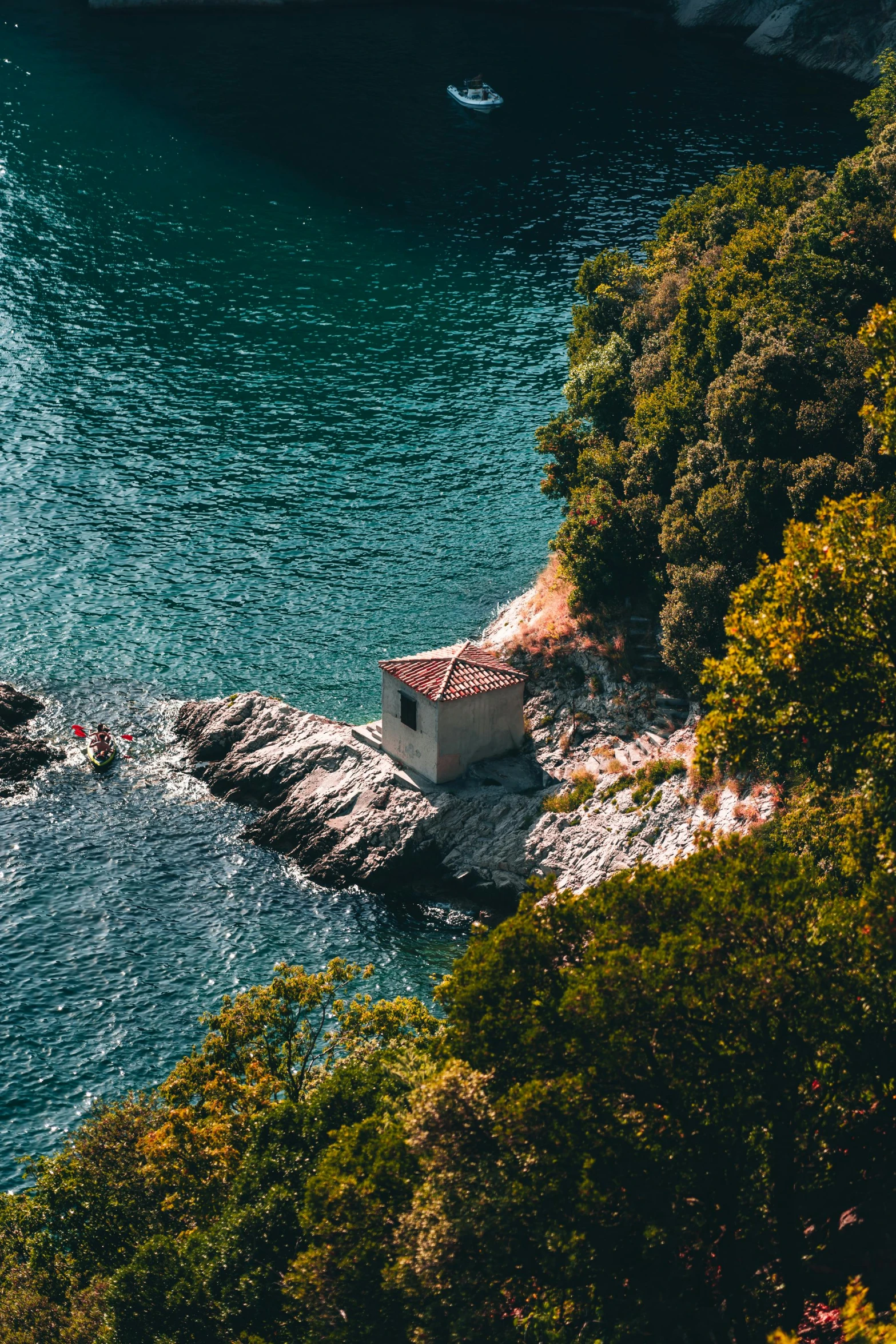 a boat on a body of water with trees in the background