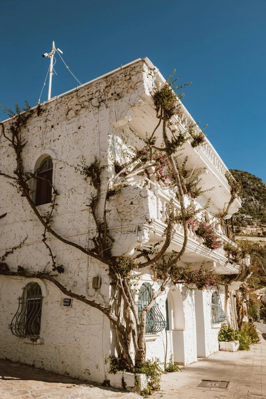 the building is surrounded by a tree and shrubbery