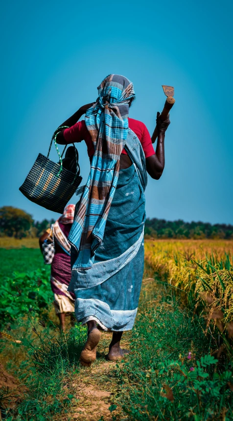 woman in blue dress walking through corn field