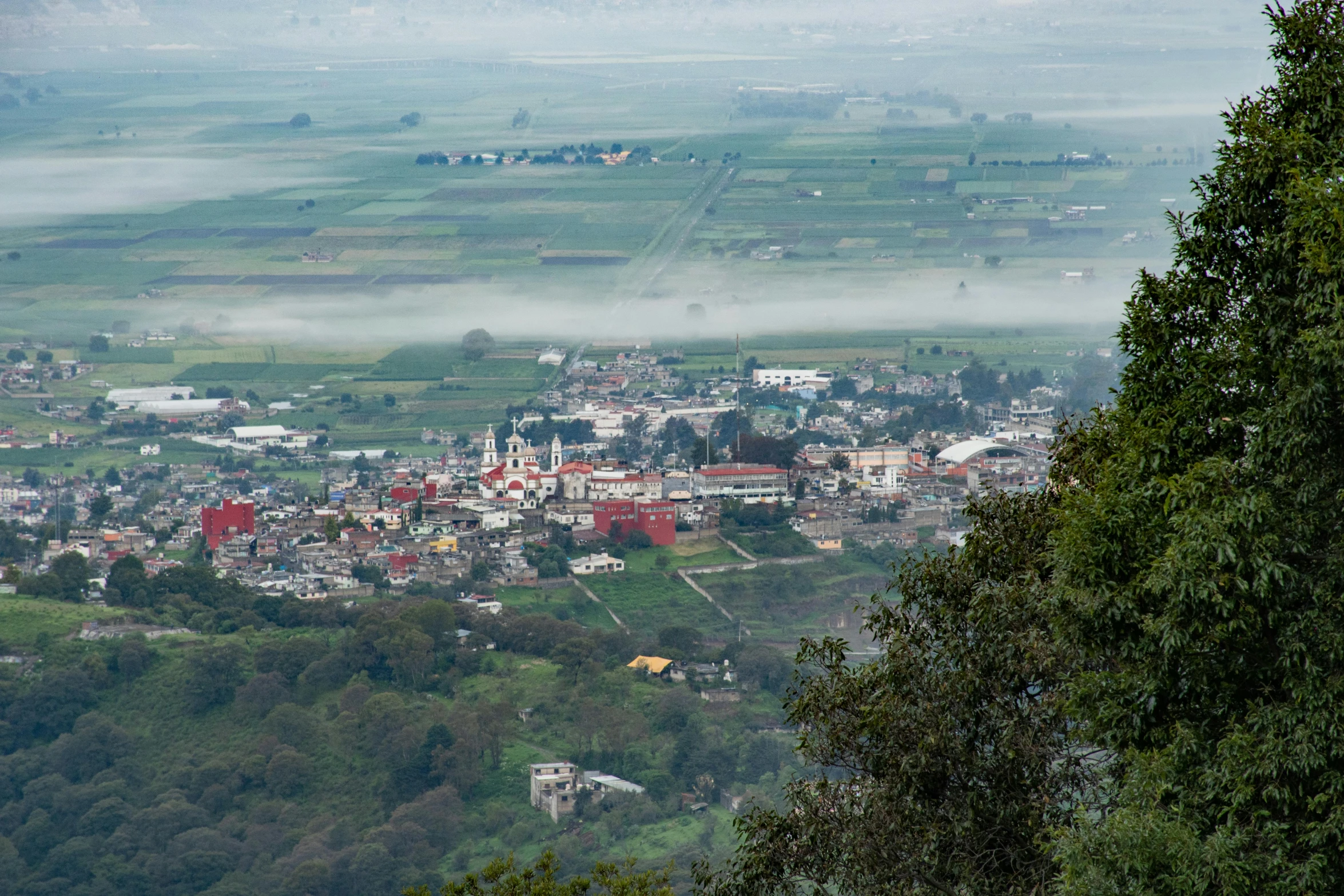 fog blankets the surrounding town in the distance