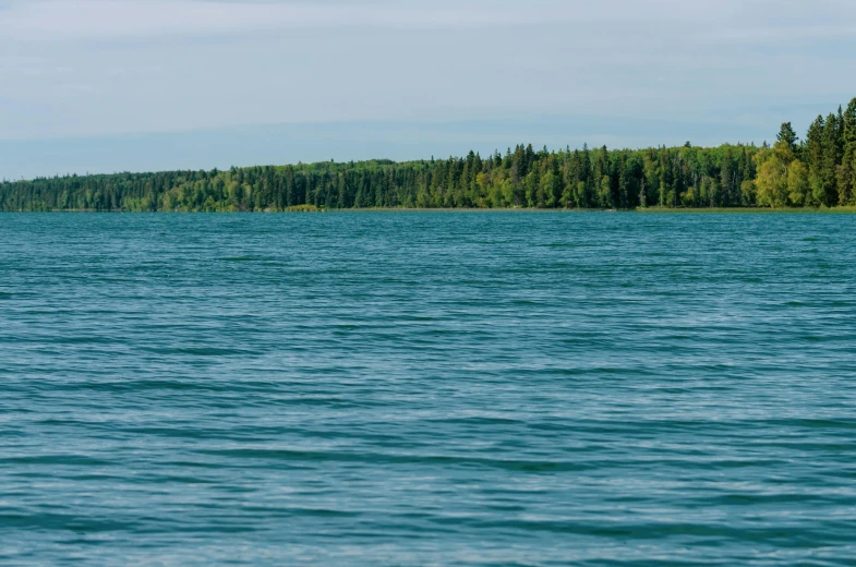 a man riding a board on the water