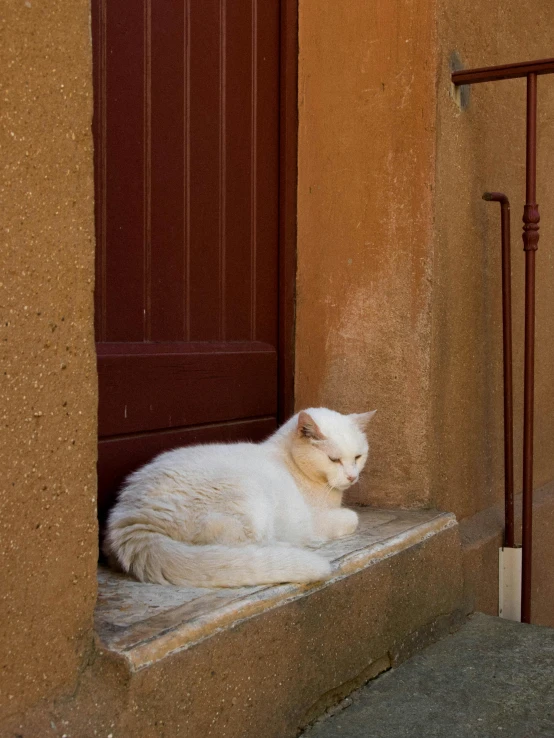 a cat laying on top of a step near a door