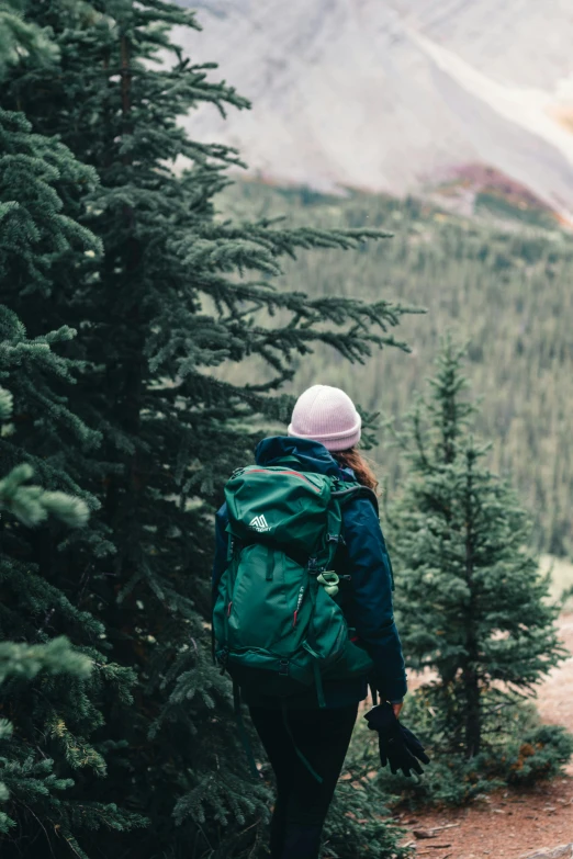 a person with a backpack hiking up a tree covered mountain