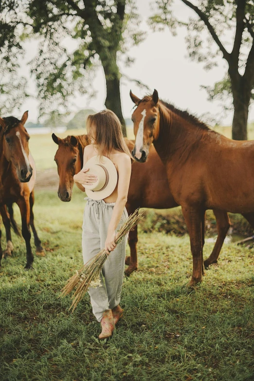 a girl standing by two horses holding hay