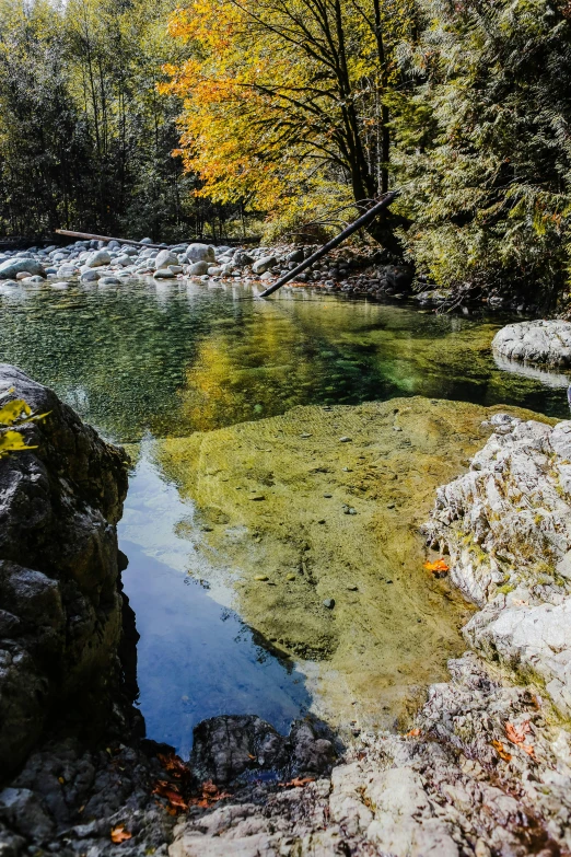 a river surrounded by rocks and colorful trees