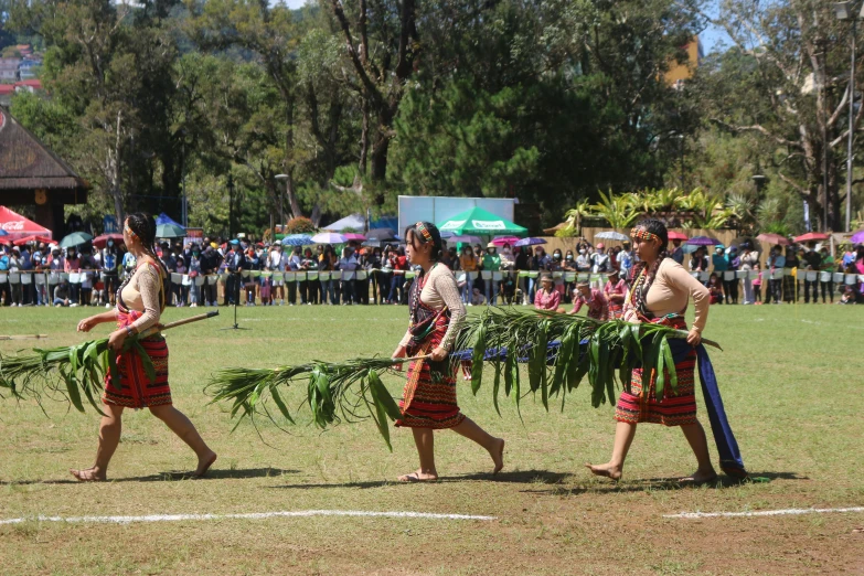 three women in traditional hawaiian clothing carrying plants