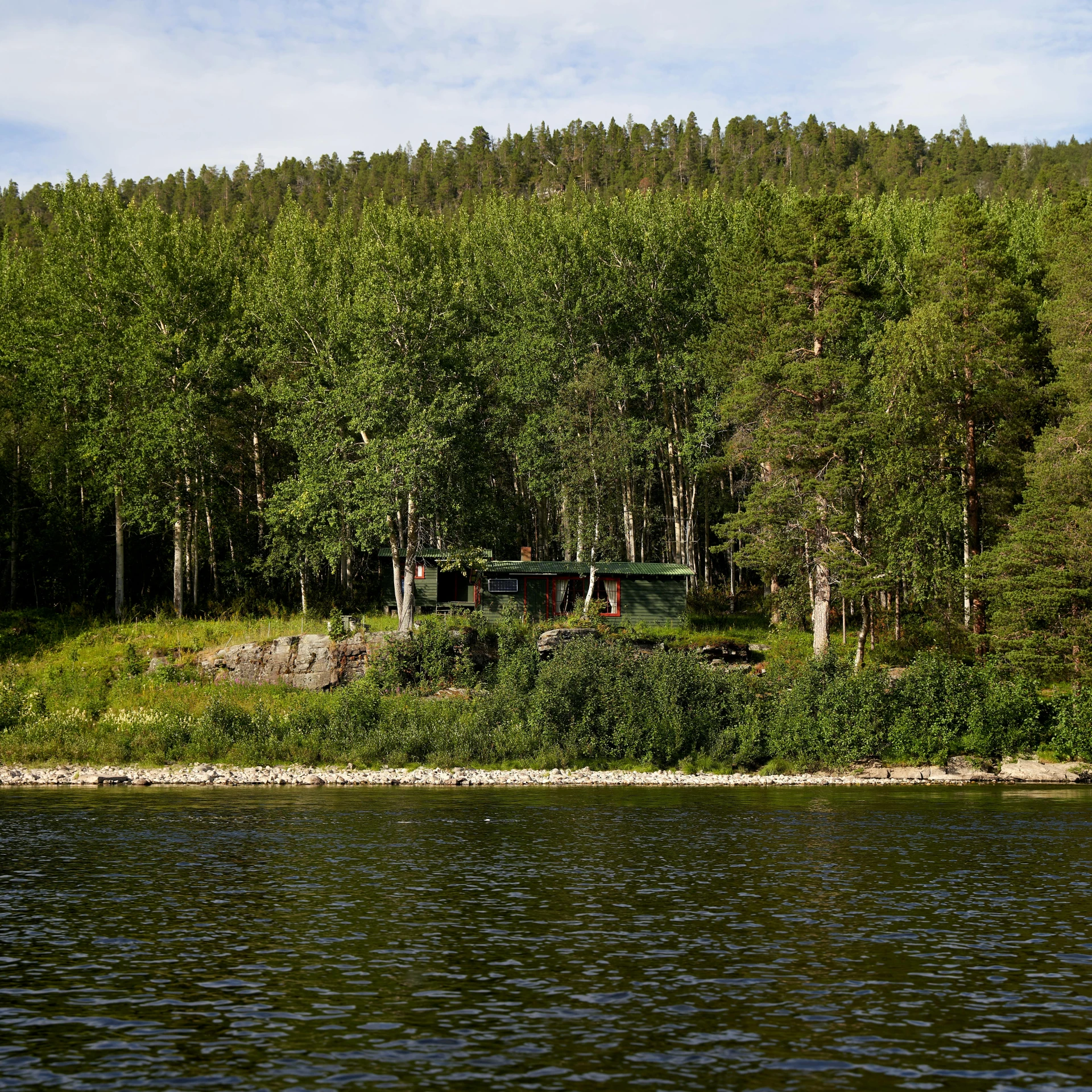 a group of people sit and watch as they wade near the woods