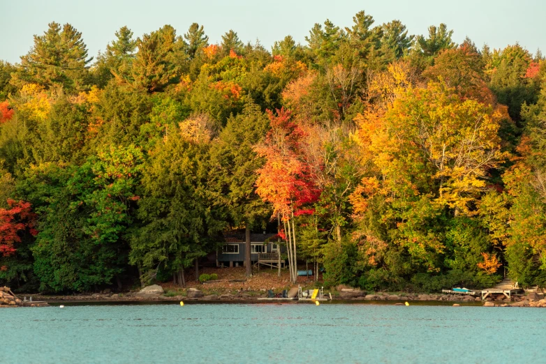 a lake with several boats on it in the woods