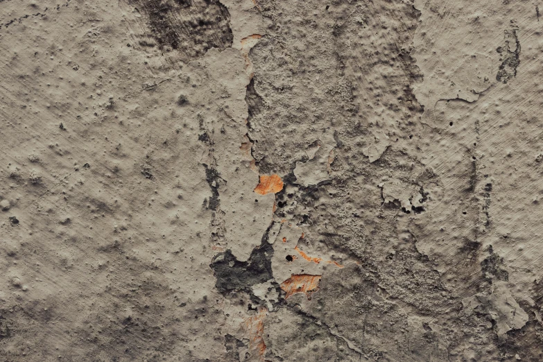 an area with white and brown paint, dirt, rocks and small brown stains