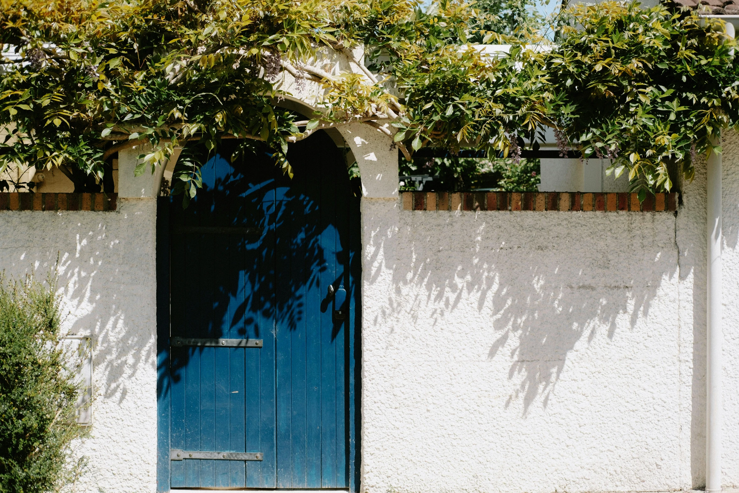 an iron gate has blue shutters on it