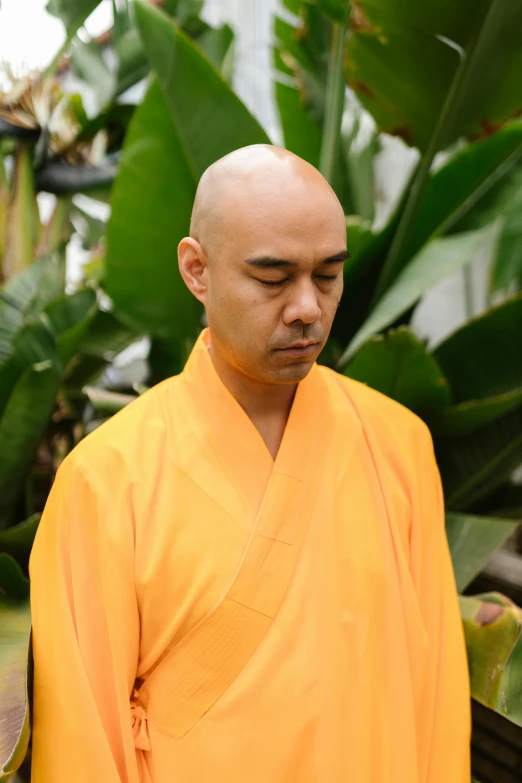 a monk wearing orange standing in front of plants