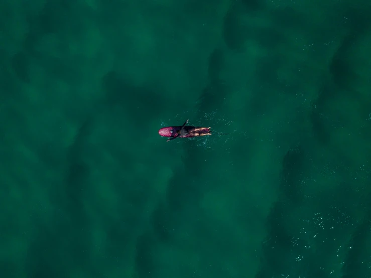an aerial view of a man riding a board in the ocean
