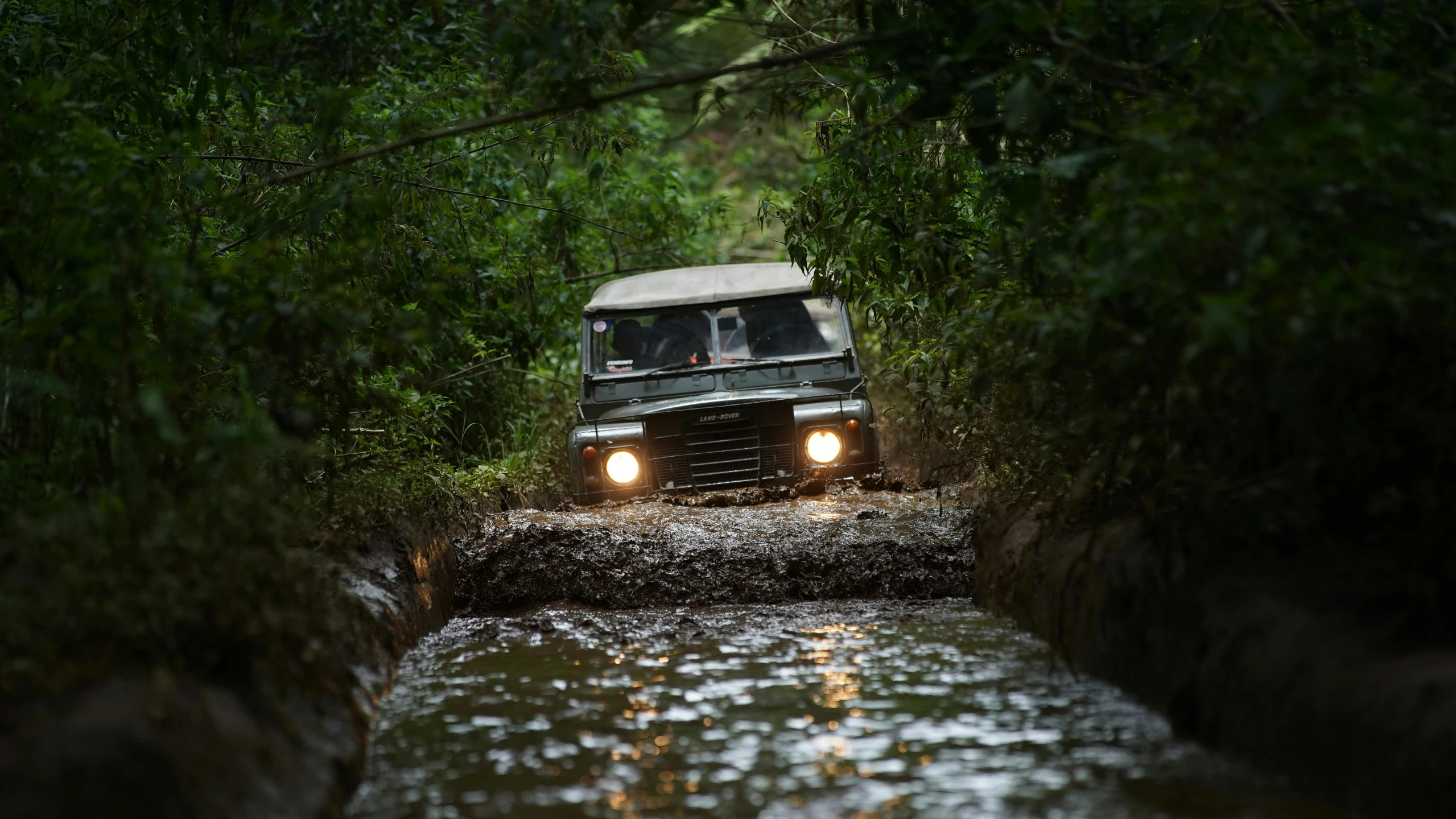 jeep drives through a stream in the forest