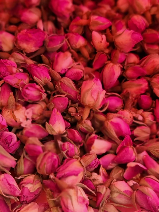 pink flowers with small buds inside of it