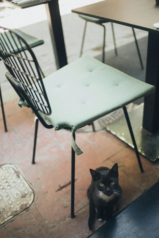 the black cat is sitting next to a chair