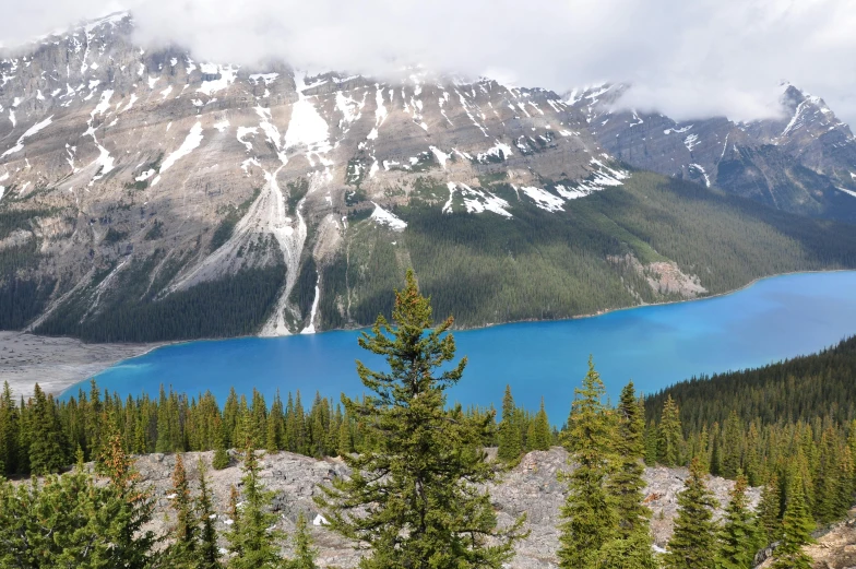 mountains rise above a tree covered hillside