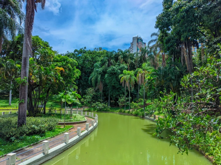 a river filled with green water surrounded by trees