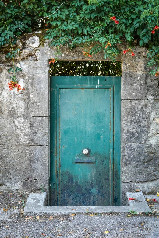 a door and a wall with plants growing over