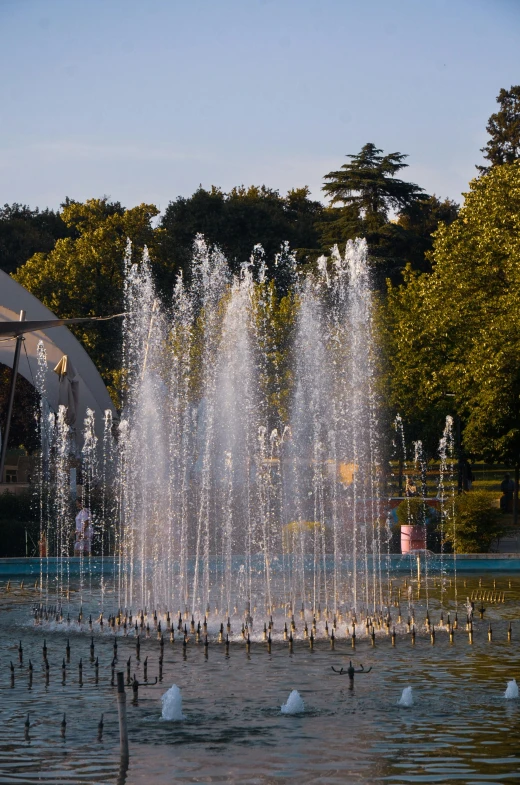 a fountain spraying water and surrounding trees