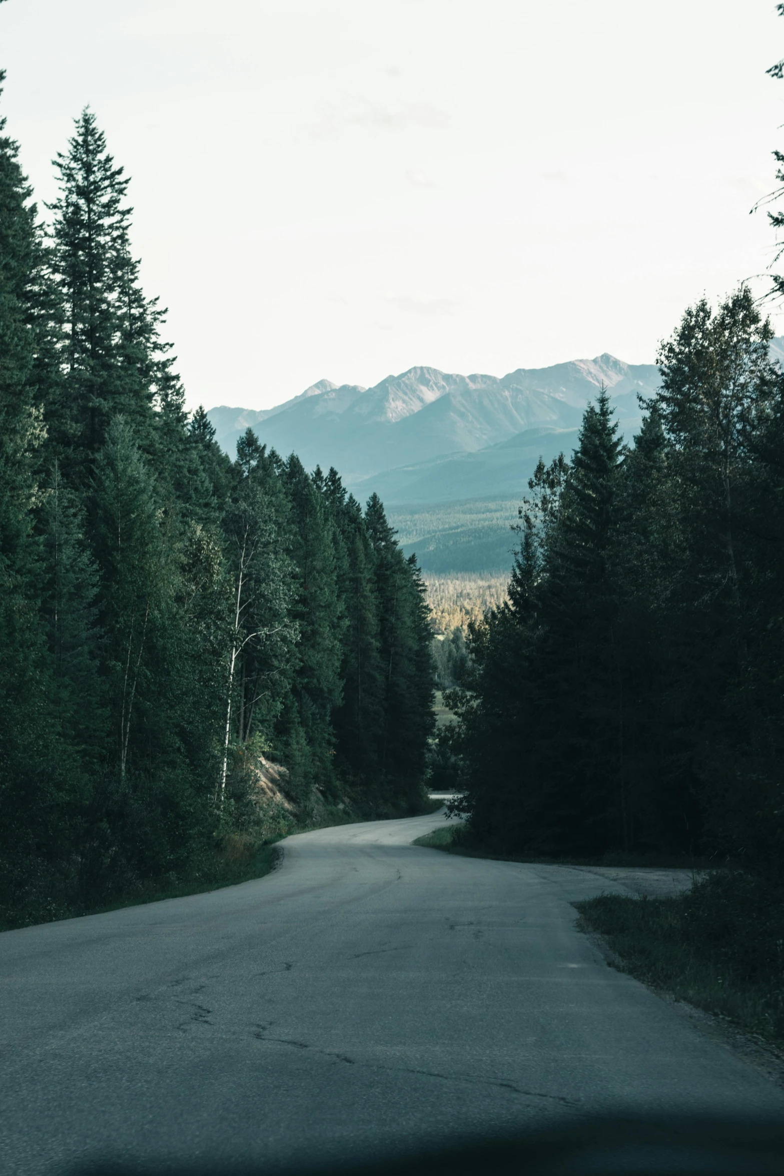 a road surrounded by trees and mountains with some green leaves on the top