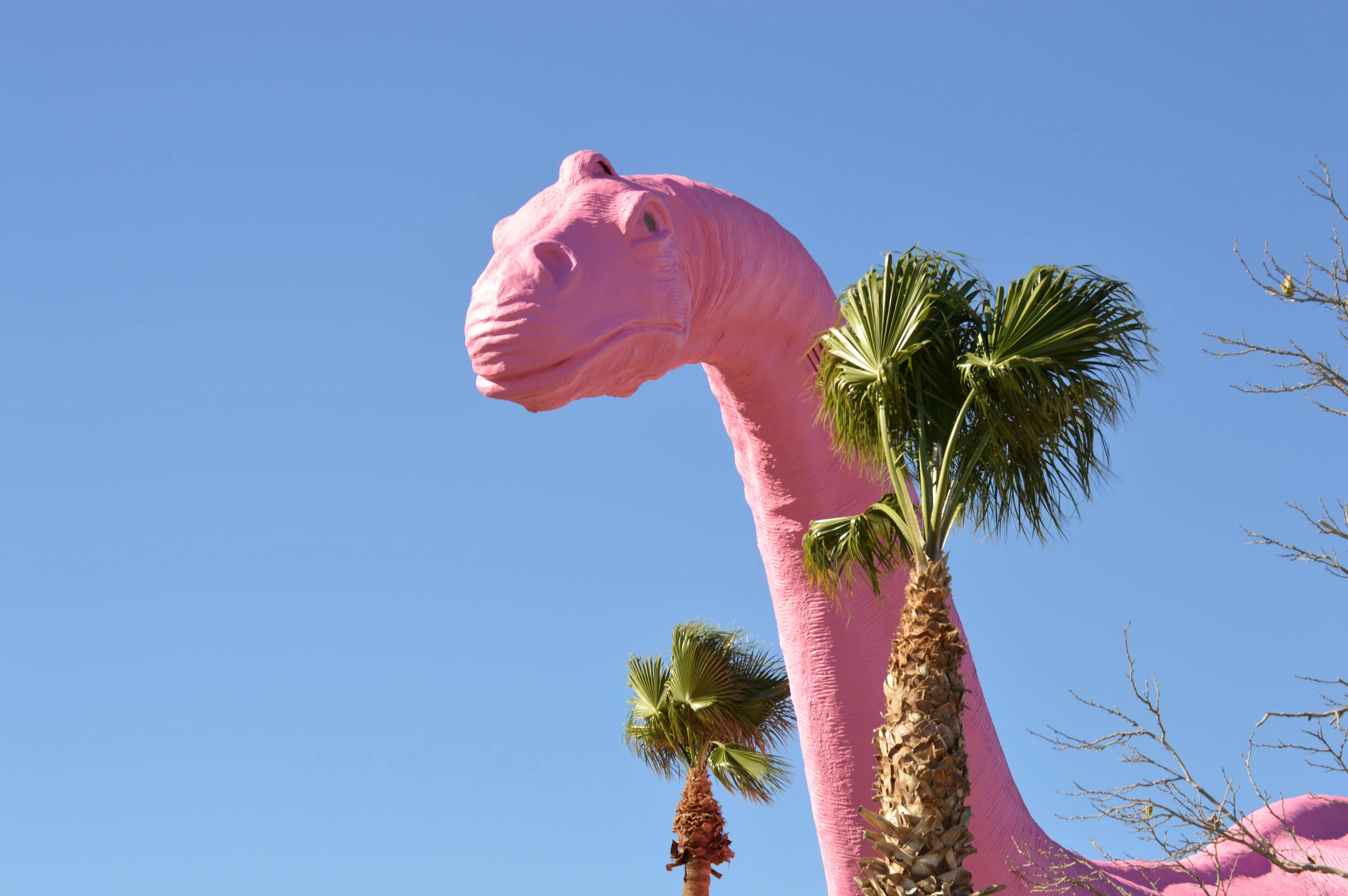 an pink dino horse head standing next to palm trees