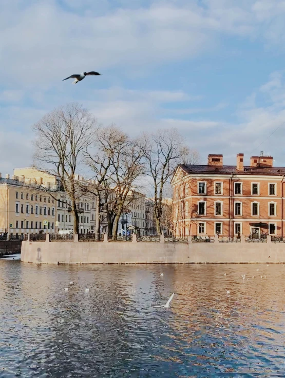 a bird flying above an urban area next to a body of water